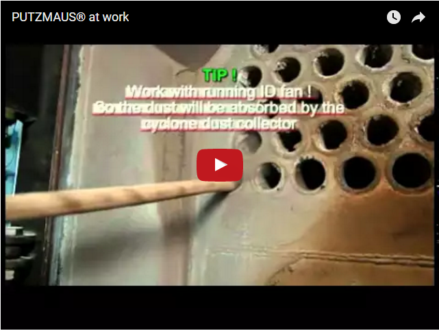 putzmaus work